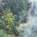 ���� �����, ������-��-����, 47 ��� - ��������� 21 ������� 2026 � ������ ���� ���� 2026�