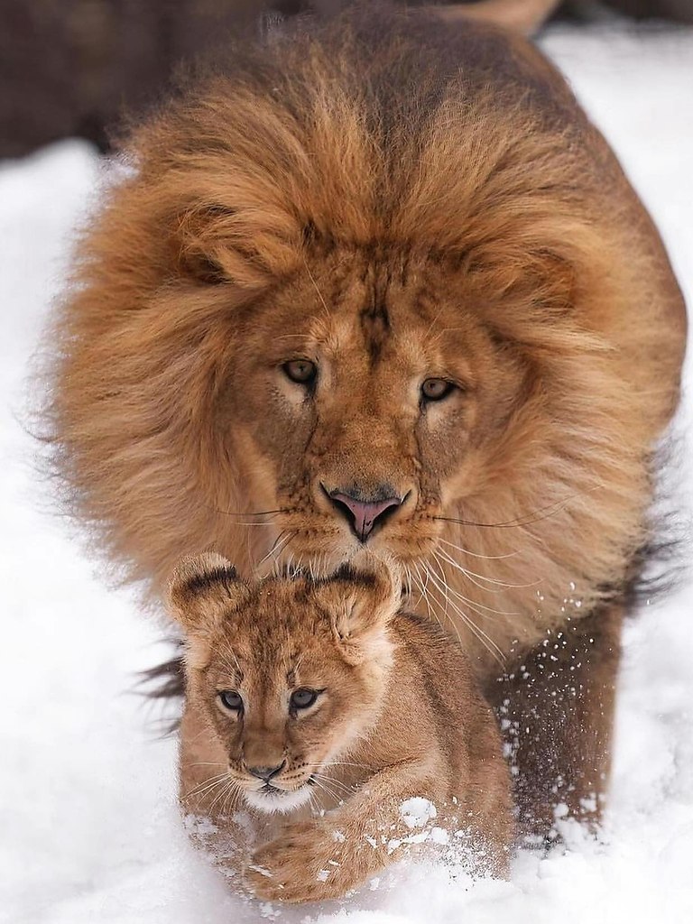   - 5  2025  15:25 - 3