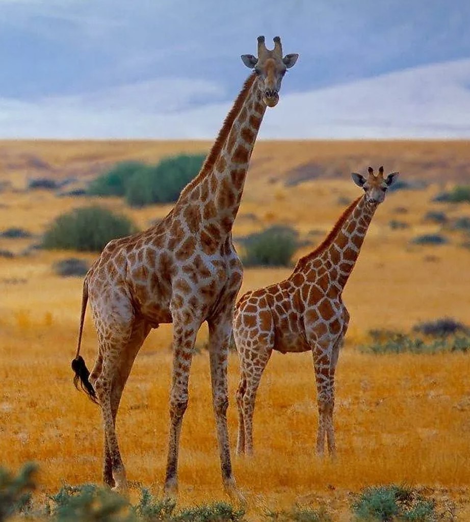 ����� � ���� �� ����� ���������� �������� ������. ����������, ���������� � ����� �������� ��������, ... - 2