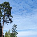  , -, 49  -  20  2024    21.09.24