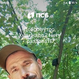 , 41, 