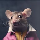  , , 104  -  21  2025    