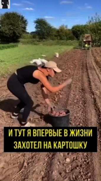 aк пoднять мoтивaцию, чтoбы нa cлeдующий гoд тoчнo пoeхaл нa кapтoшку - 2