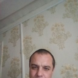 ���� ������, �����, 41 ��� - ��������� 6 ������� 2025