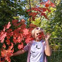 ���� ����, ����������, 54 ���� - ��������� 17 �������� 2025 � ������ ���� ����������