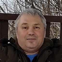 ������, ����, 50 ���