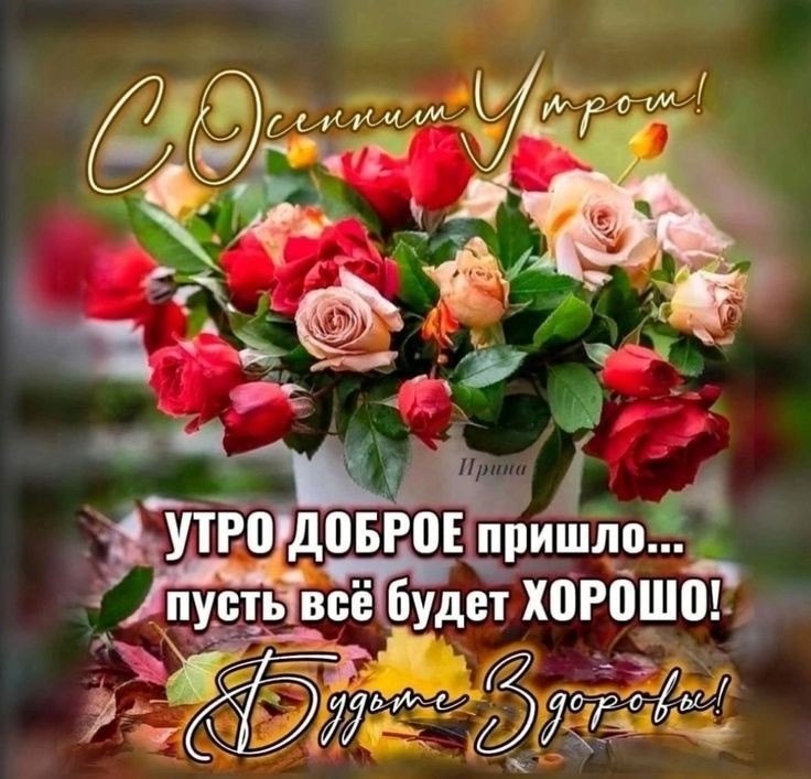   ,    . - 10  2025  00:23