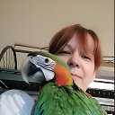 ���� Vita, ������ - ��������� 28 ������� 2026 � ������ ���� ����������