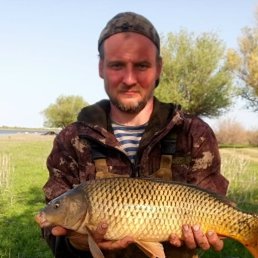 �����, �������, 45 ���