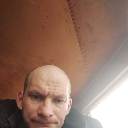 , 41, 