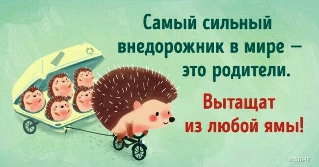   ,    . - 26  2024  18:33