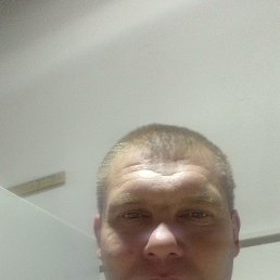 �����, 37 ���, �����������