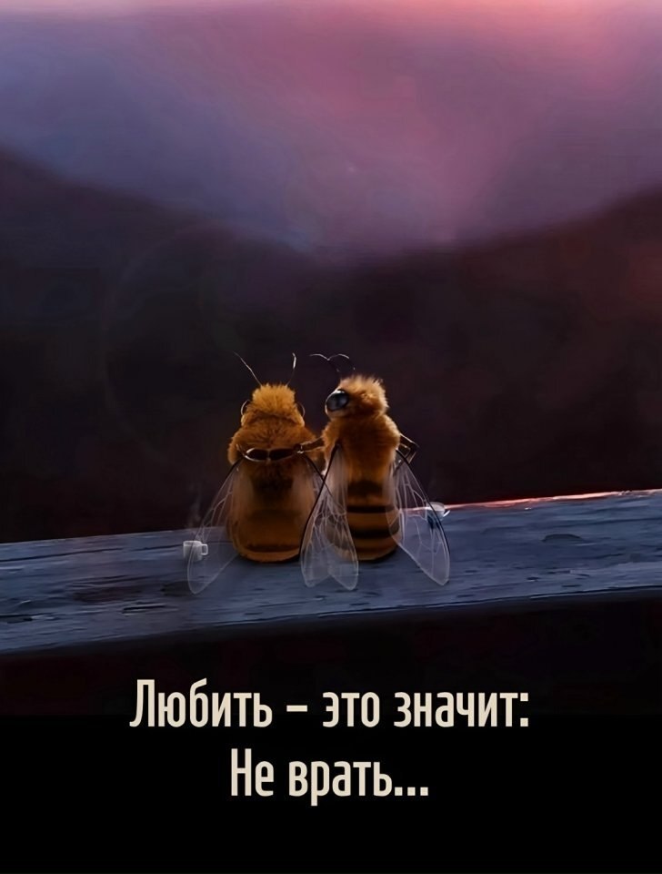 Сложно не согласиться