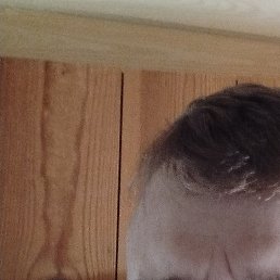 ����������, ��������, 40 ���