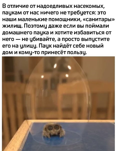 ���� - 1 ������� 2025 � 08:32 - 4