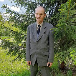 , 64, 