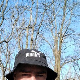 maksim, 31 ���, ���������