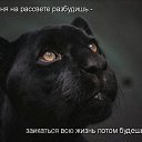 ���� ��������, �������� - ��������� 23 ����� 2025 � ������ ���� ����������