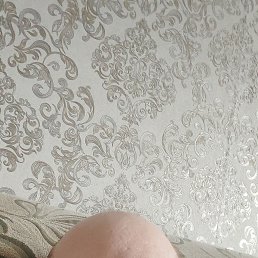 ���� ���������, ���������, 40 ��� - ��������� 18 ������� 2023