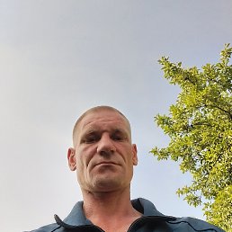 , 37, 