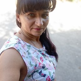 �����, ������, 48 ���