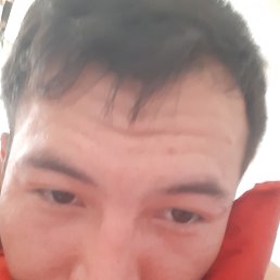 DASI, 27, 