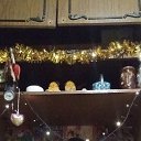 ���� ����, ������, 57 ��� - ��������� 5 ������ 2024 � ������ ���� ����������