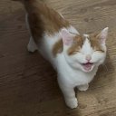���� �����, ����, 22 ���� - ��������� 10 ������ 2025 � ������ ���� ����������