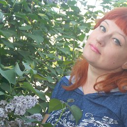 ����, ��������, 48 ���