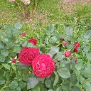 ���� ���������, ����� - ��������� 21 �������� 2025 � ������ ������ ������, �� ����������