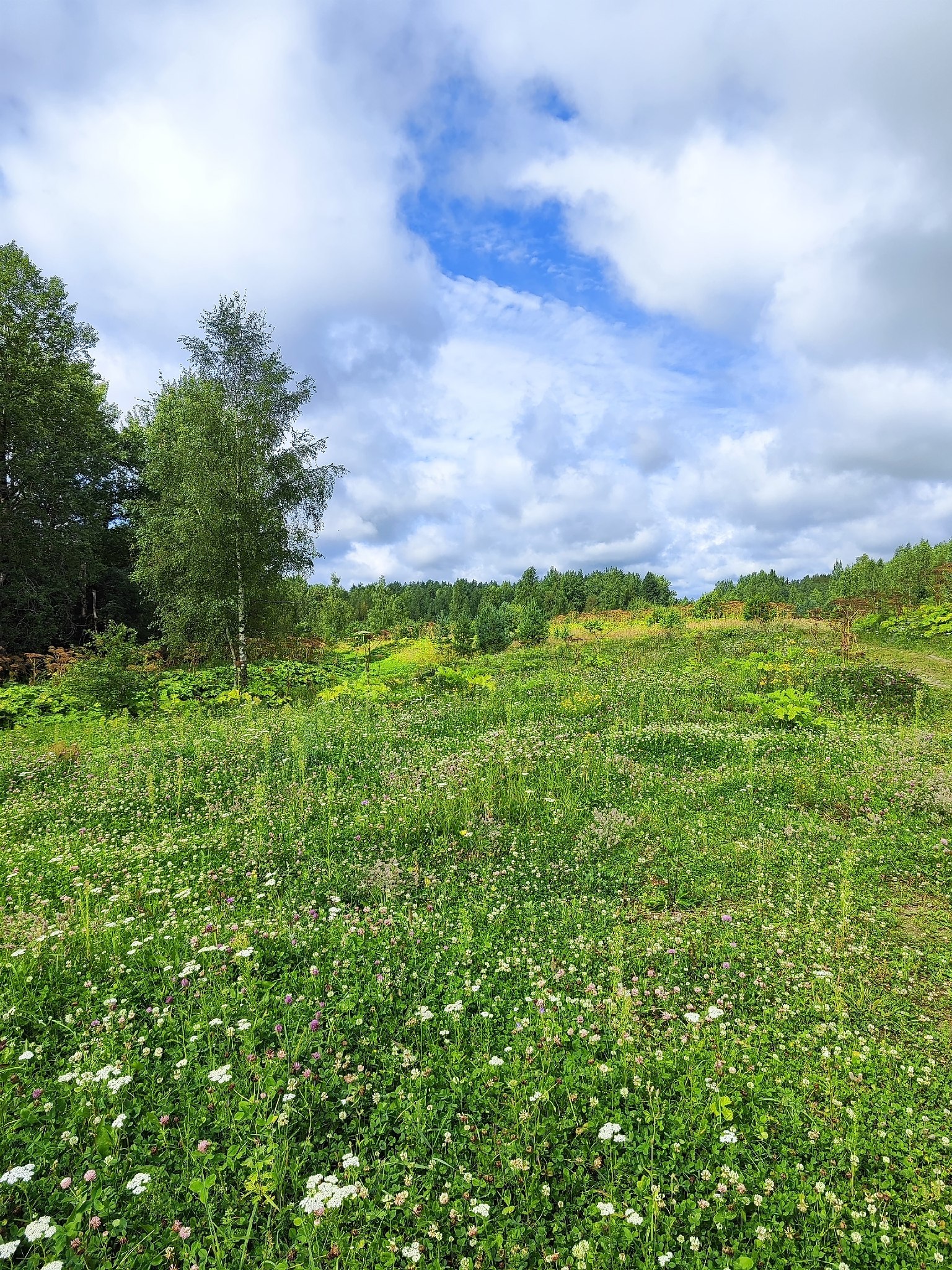   - 12  2025  16:15 - 7