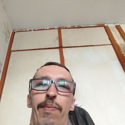  , 41, 