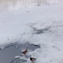 ���� ������, ������� �����, 70 ��� - ��������� 14 ����� 2025 � ������ ���� ����������