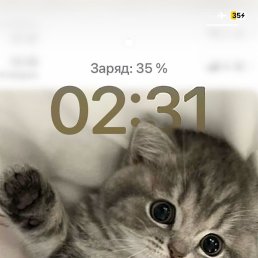 ���, �����, 18 ���