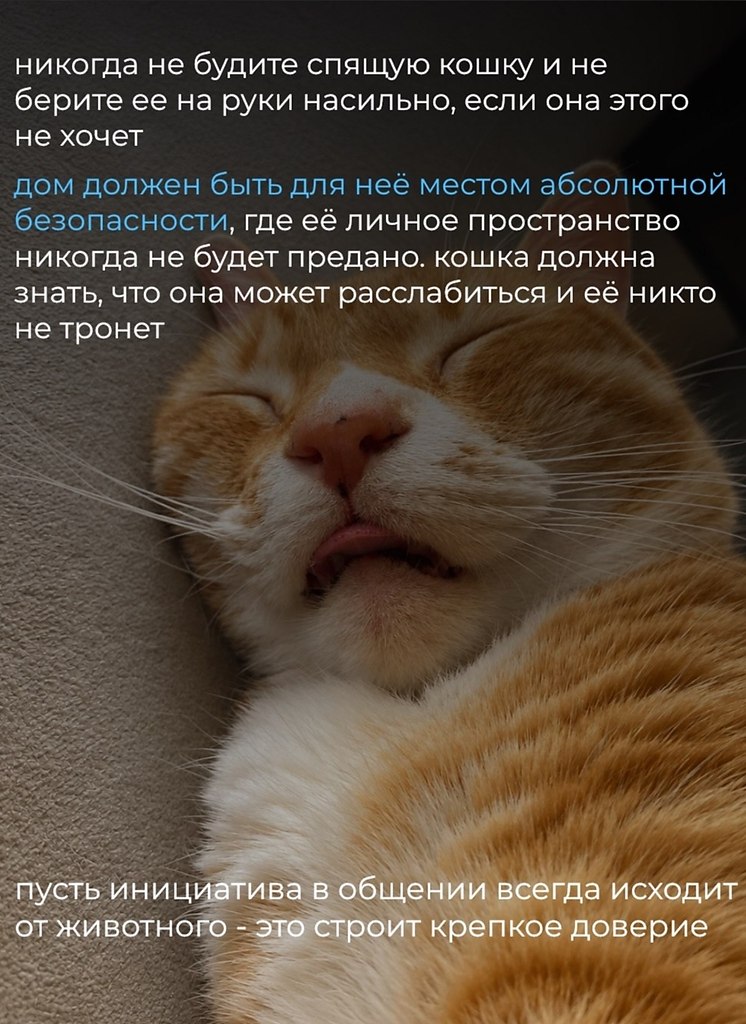 ���������� ����� ���������� ����� � ������������� �������� ����������. ������� ��������� ���� ... - 4