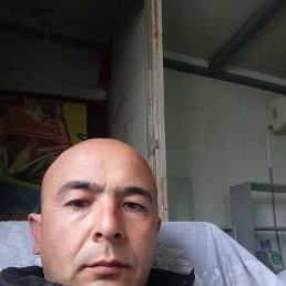 , 38, 