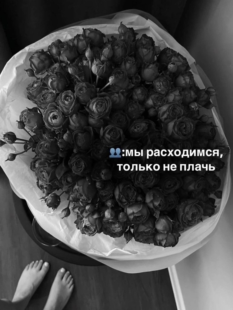 . - 14  2025  13:09