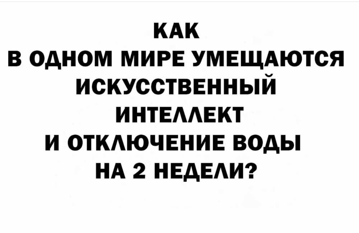   . - 8  2025  17:36