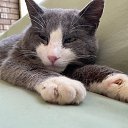 ���� ����, ������ - ��������� 10 ������ 2026 � ������ ������ ��������