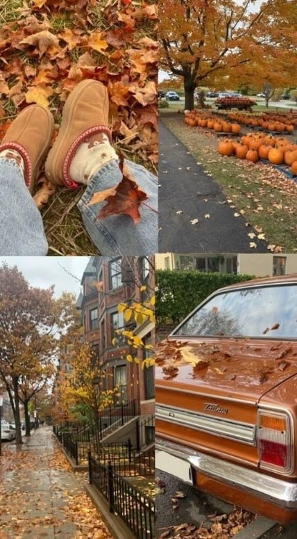 Осень прекрасна - 4