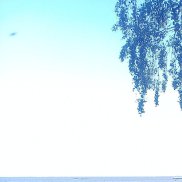 ����, 52 ����, ������