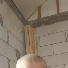 , 48, 