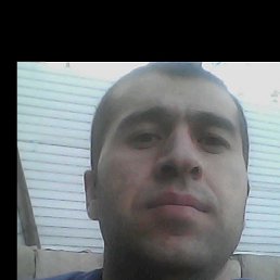 , 38, 