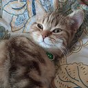 ���� �������, ���������, 69 ��� - ��������� 11 ������� 2024 � ������ �������