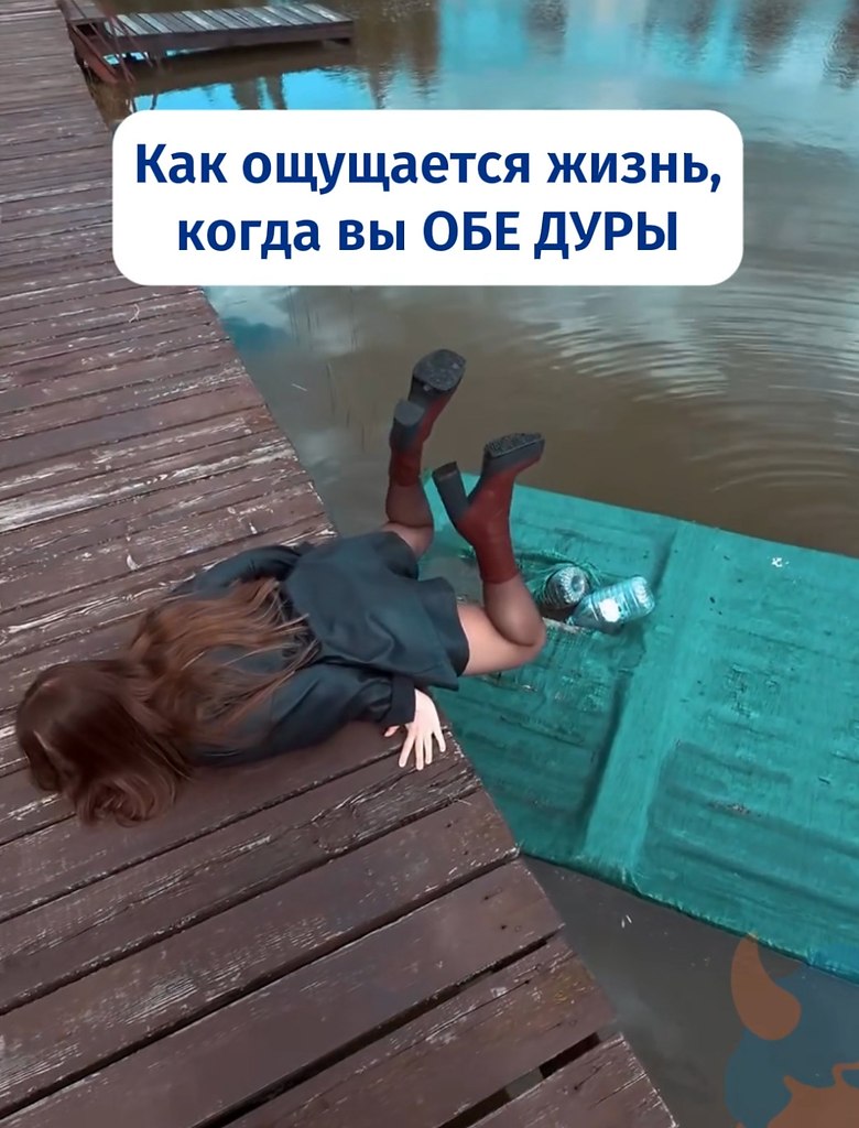 За этой бестией глаз да глаз - 2