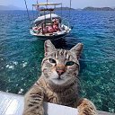 ���� ���������, �����, 40 ��� - ��������� 5 ������ 2024 � ������ ���� ����������