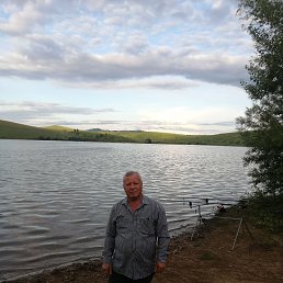 , 67, 