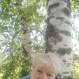 ���������, ������ ��������, 66 ���