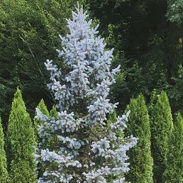 ���� ������, �������, 31 ��� - ��������� 17 ������ 2023