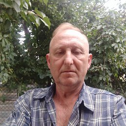 ���� �������, ������, 55 ��� - ��������� 25 ������ 2023